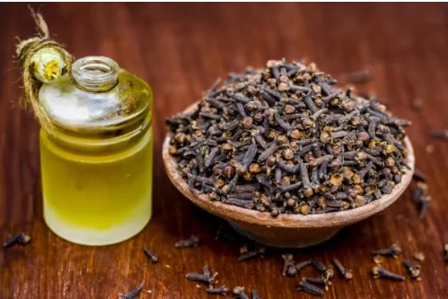 Remedies to Ease Toothache - clove oil